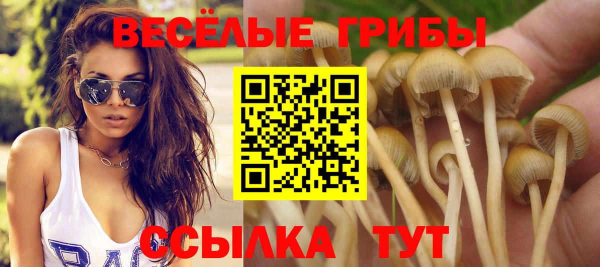 Псилоцибиновые грибы ЛСД Ачинск
