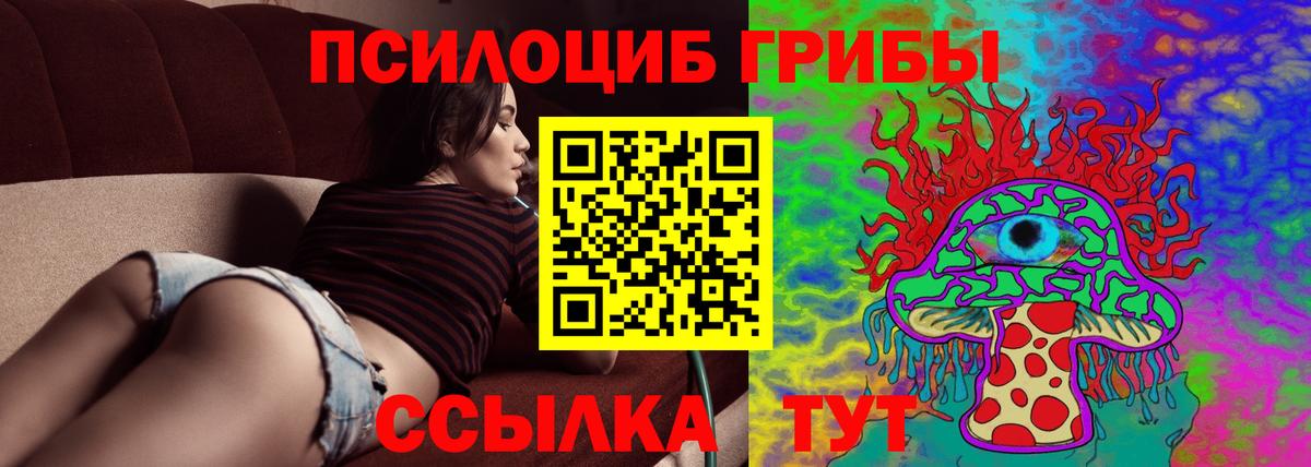 Ачинск  Галлюциногенные грибы Psilocybine cubensis  Вход с VPN 
